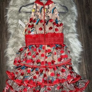 Brand New Bronx and Banco Dress